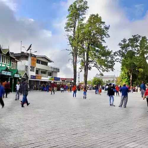 Darjeeling Family Package for 3 Days