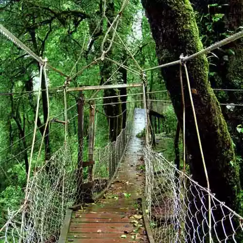 8 Days Dooars Tour Package