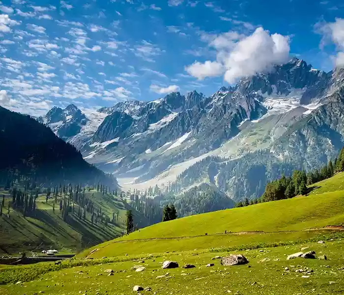 Things to do on your Kashmir Trip