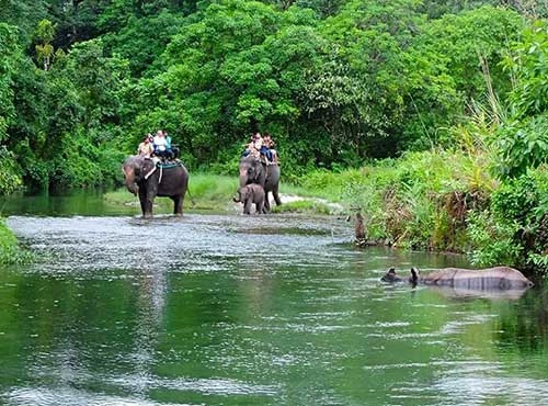 Jaldapara National Park 