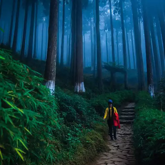 Luxury Trip To Gangtok and Offbeat Darjeeling via Mirik