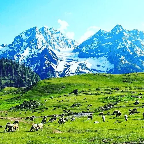 Kashmir Luxury Group Tour Package