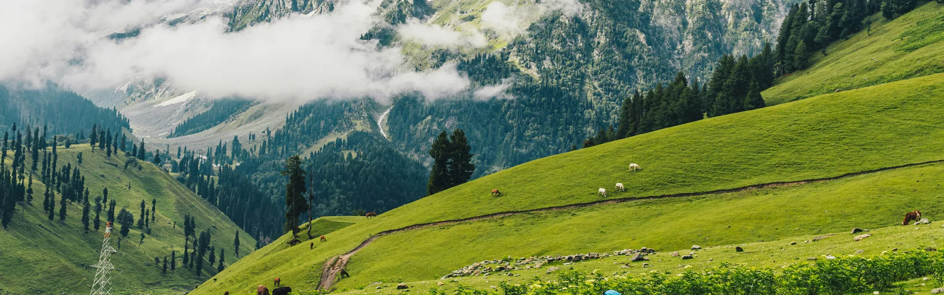 Amazing Kashmir Tour Package
