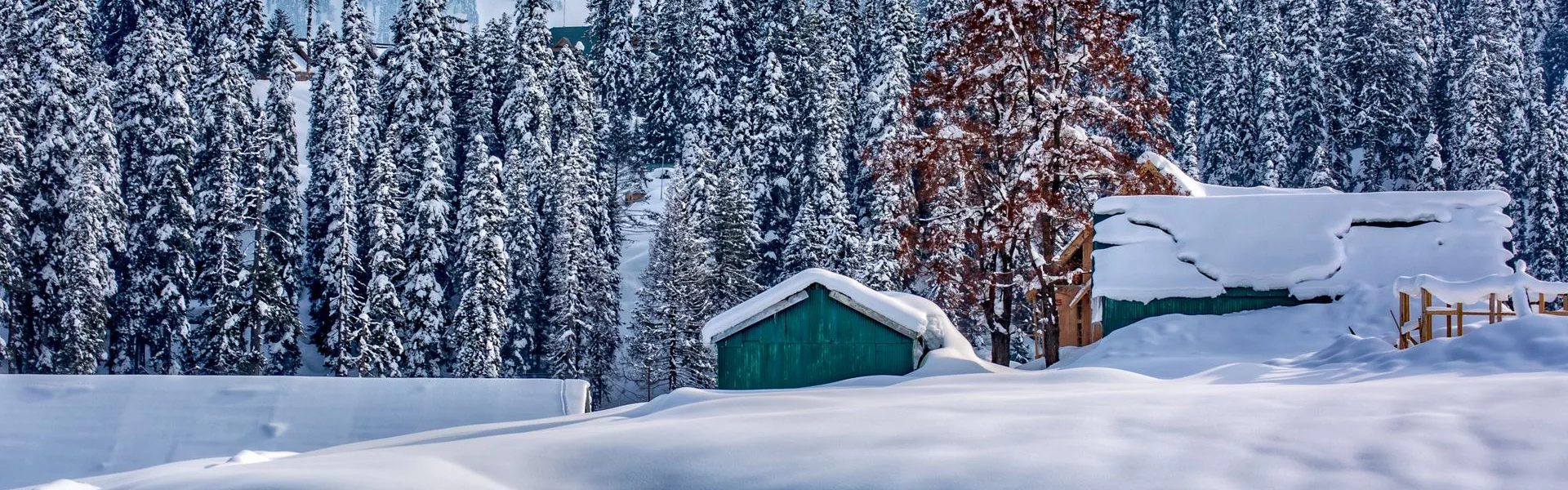 Charismatic Kashmir Tour Packages