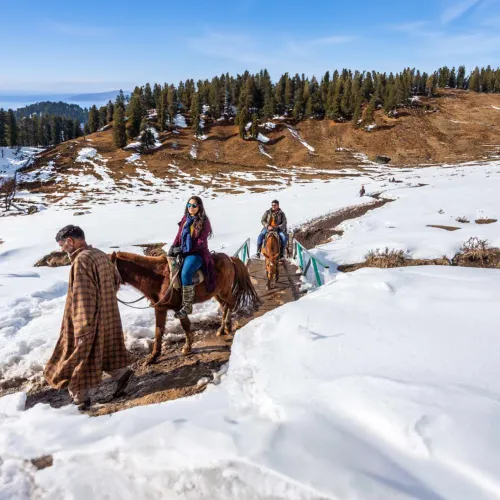 Kashmir Family Delight Tour Package