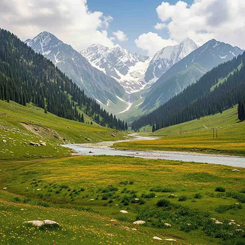 Premium Kashmir Leisure Tour