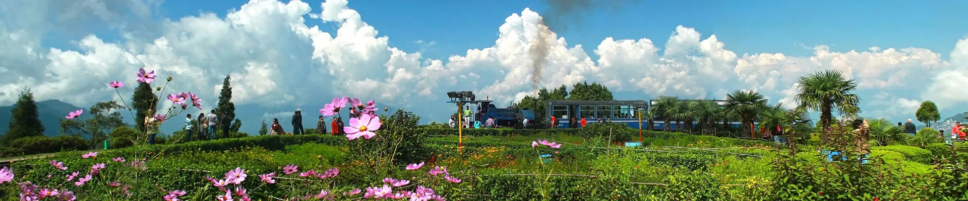 Darjeeling Family Package for 3 Days