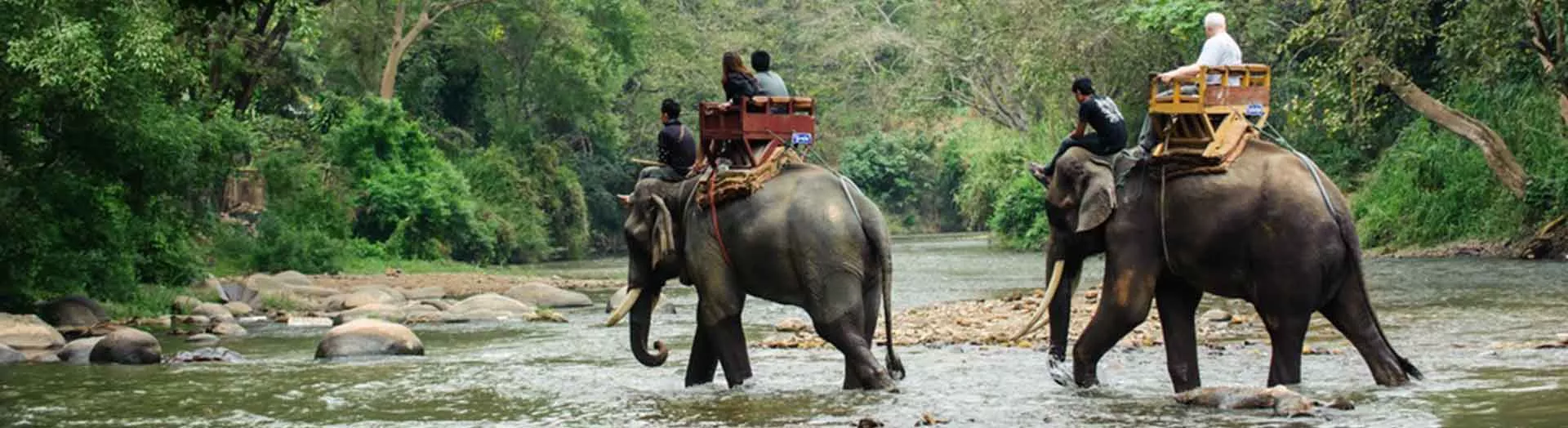4 Days Dooars Tour Package