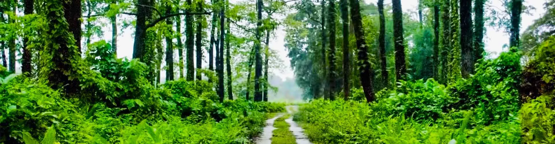 8 Days Dooars Tour Package