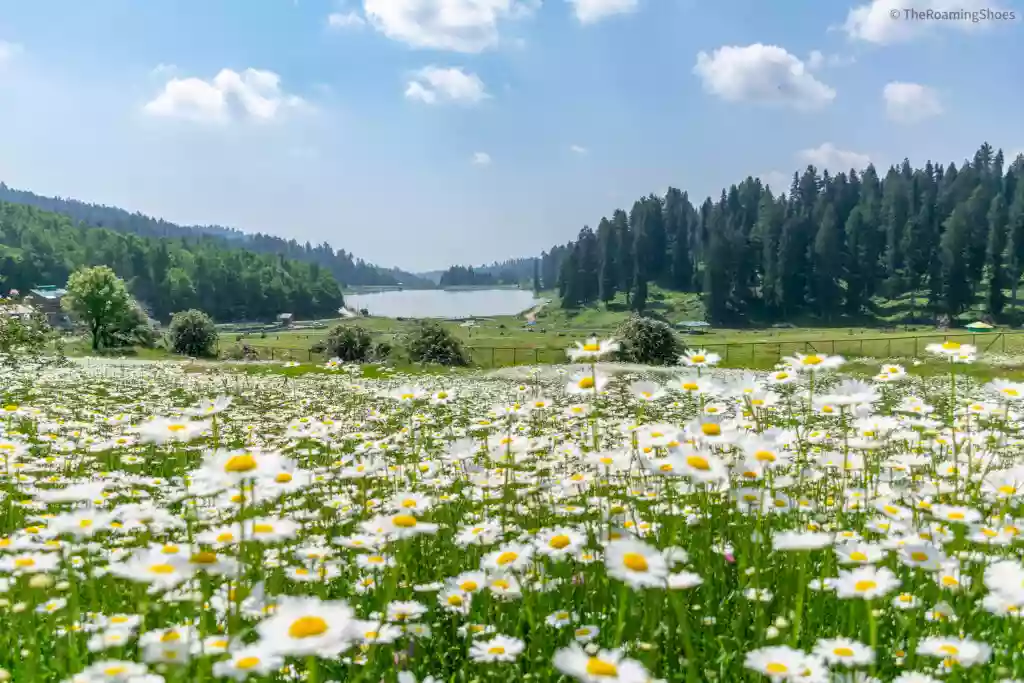 Kashmir Tourists Places